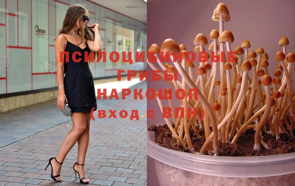spice Балахна