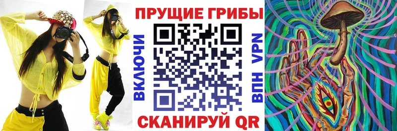 Псилоцибиновые грибы GOLDEN TEACHER  Купить  Павлово 